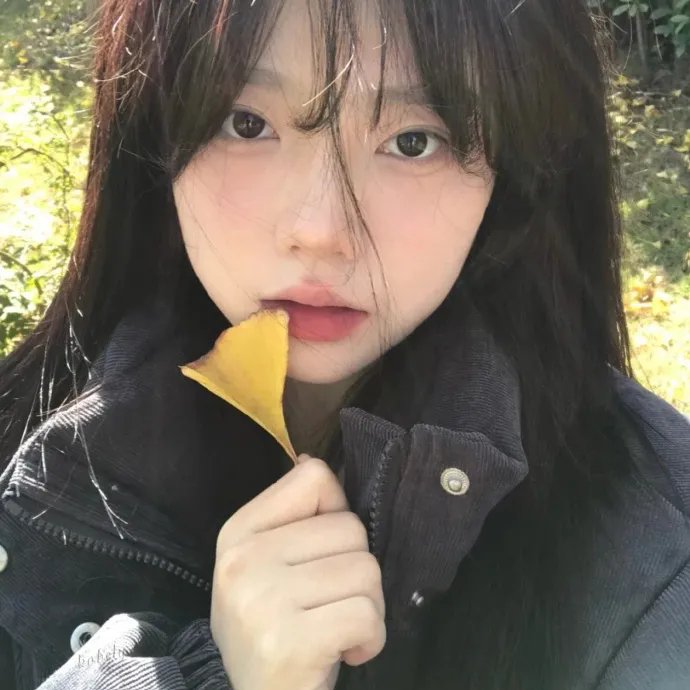 双生赤狐